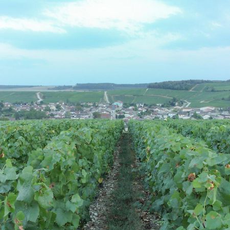 Une Parenthese En Champagne Jaucourt Ngoại thất bức ảnh