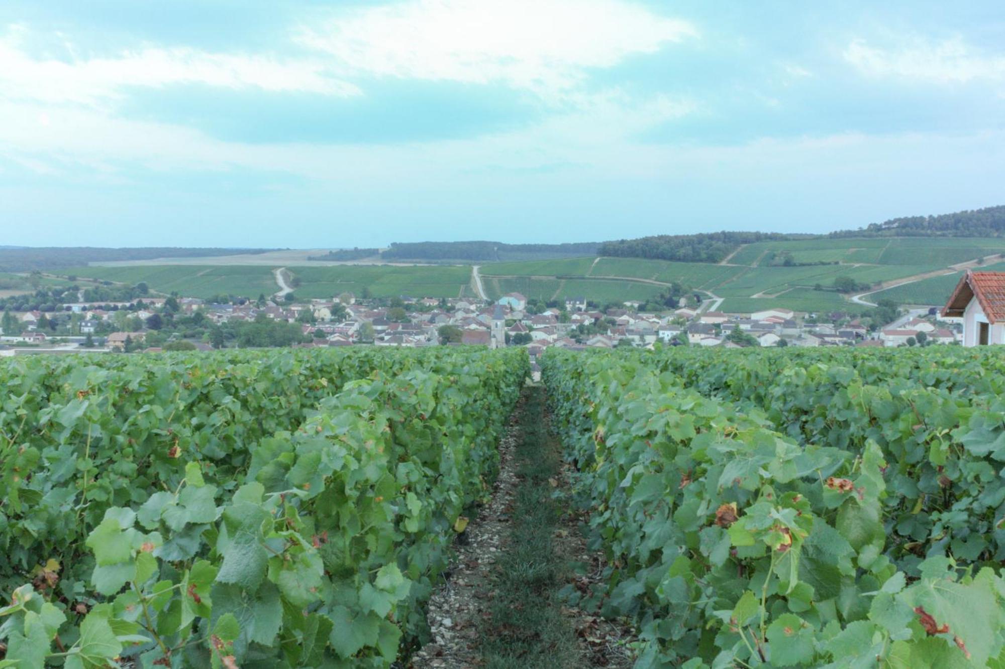 Une Parenthese En Champagne Jaucourt Ngoại thất bức ảnh